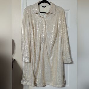 Terra & Sky Shimmering Sequin Dress